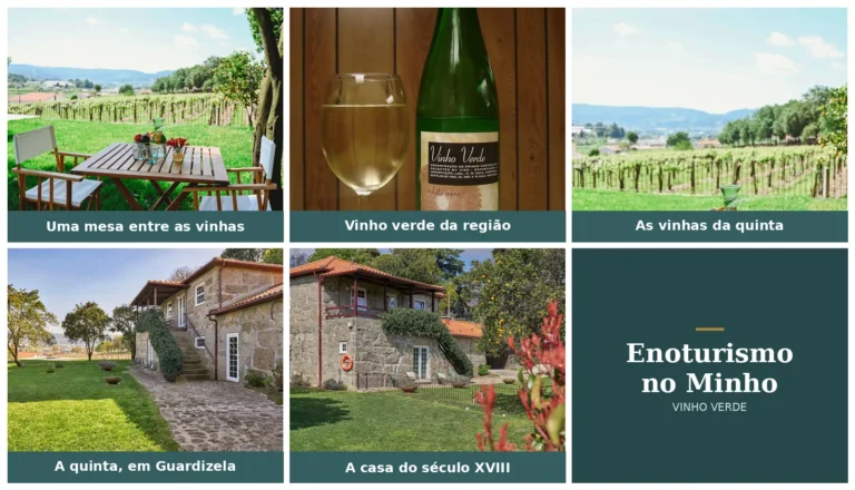 Enoturismo no Minho: uma mesa entre as vinhas, um copo de vinho verde e as vinhas da quinta da Casa do Xico, em Guardizela