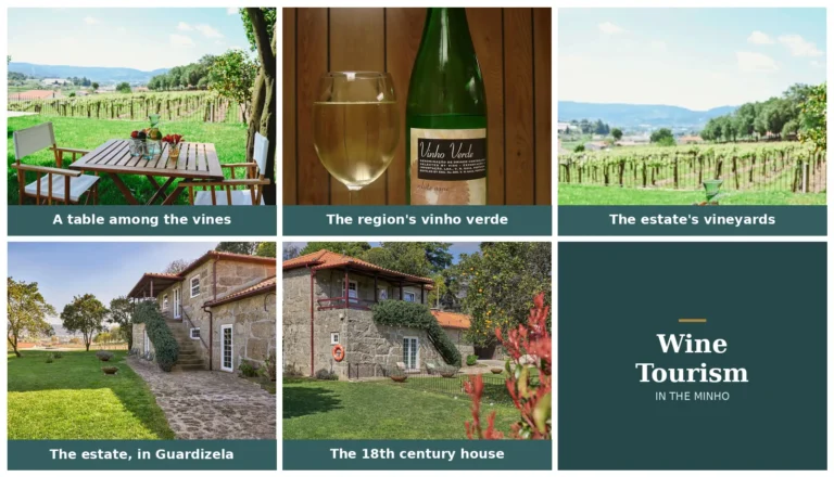 Wine tourism in Minho: a table among the vines, a glass of vinho verde and the vineyards at the Casa do Xico estate, in Guardizela
