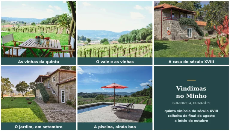Vinhas, vale, casa de pedra, jardim e piscina da Casa do Xico, em Guardizela, na época das vindimas